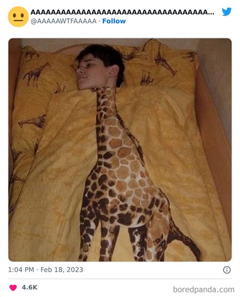Odd Pictures .